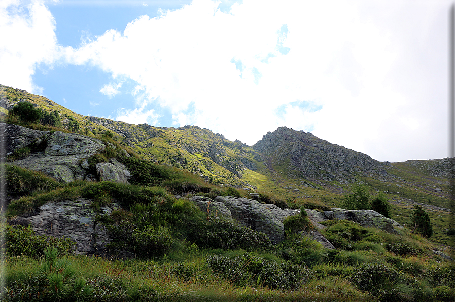 foto Forcella di Montalon